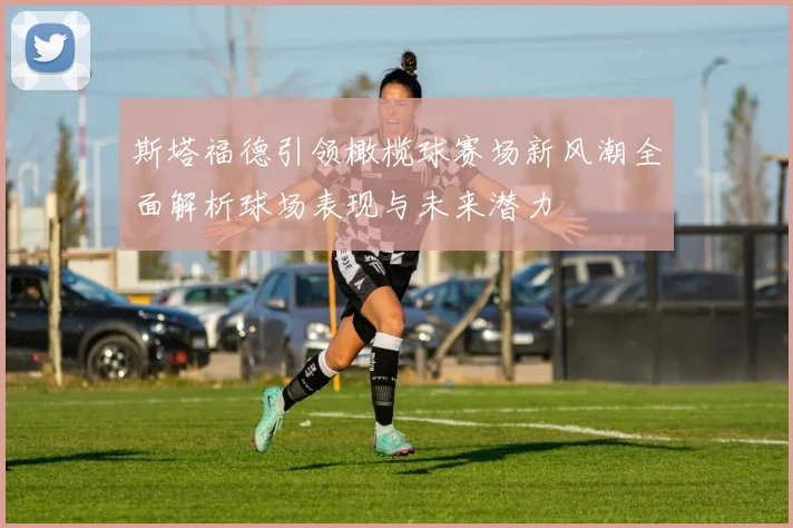 斯塔福德引领橄榄球赛场新风潮全面解析球场表现与未来潜力