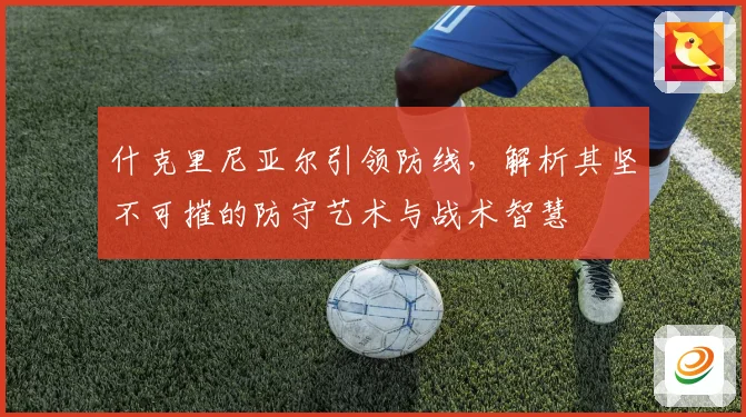 什克里尼亚尔引领防线，解析其坚不可摧的防守艺术与战术智慧
