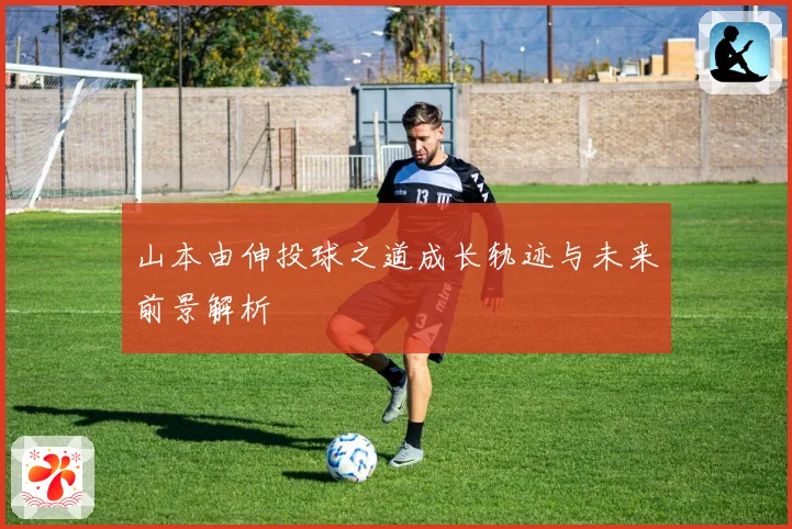 山本由伸投球之道成长轨迹与未来前景解析