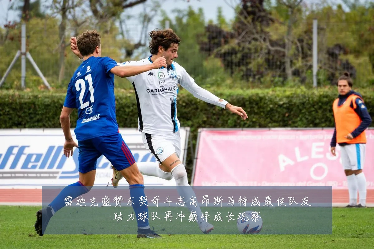 雷迪克盛赞东契奇斗志高昂斯马特成最佳队友助力球队再冲巅峰成长观察
