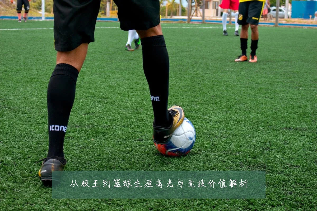 从狼王到篮球生涯高光与竞技价值解析
