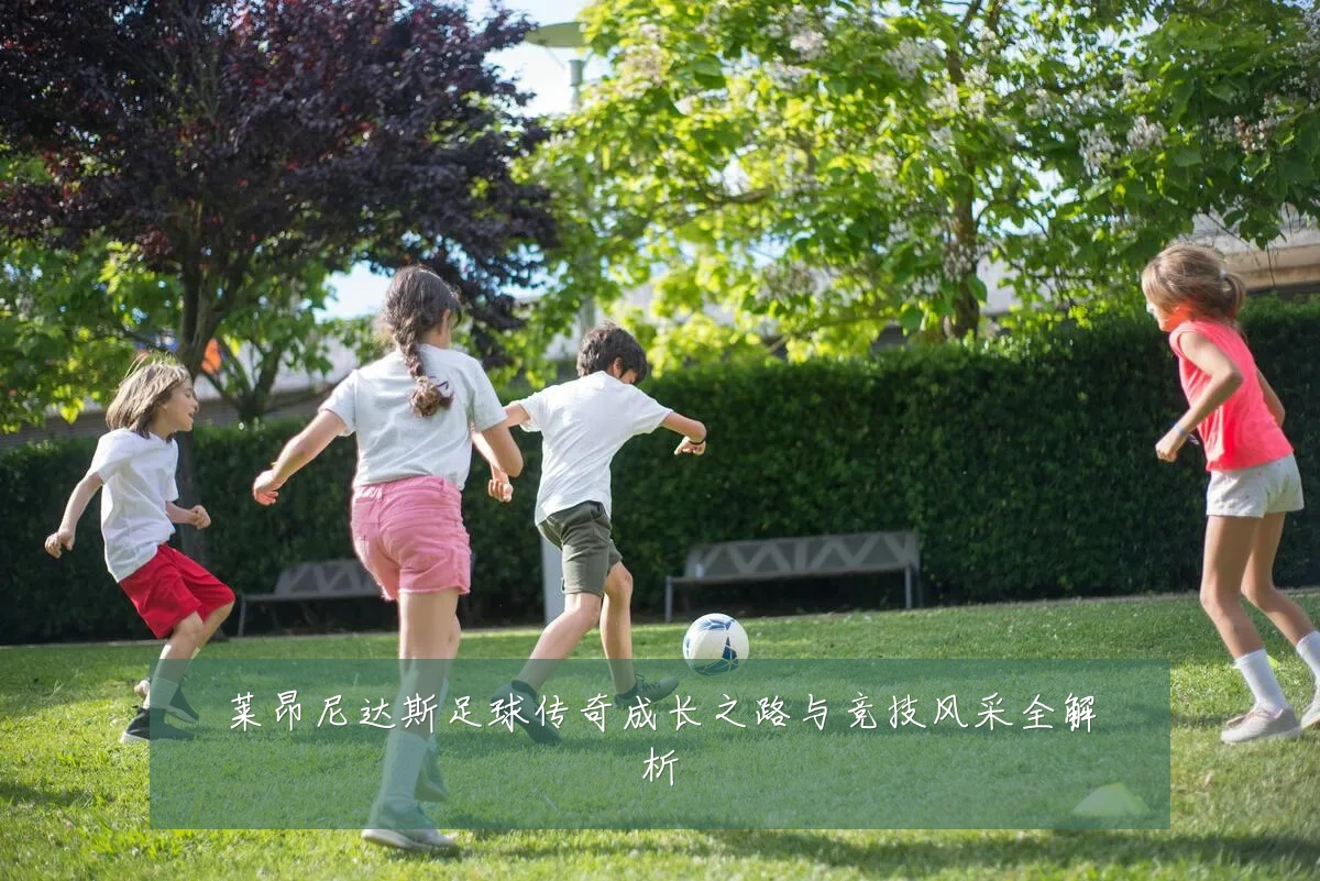 莱昂尼达斯足球传奇成长之路与竞技风采全解析